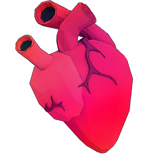 Salud-Cardiovascular