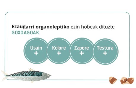 onurrak2 onurak