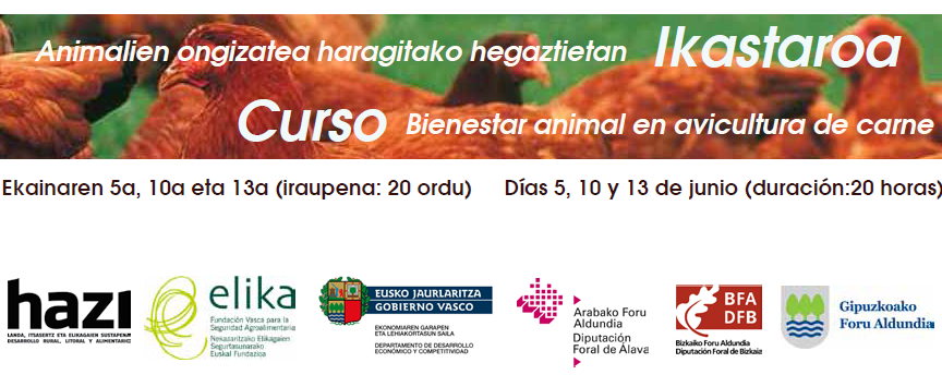 Plastikoak / Plásticos
