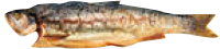ahumado