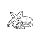 noun_Almonds_2087029 frutos secos