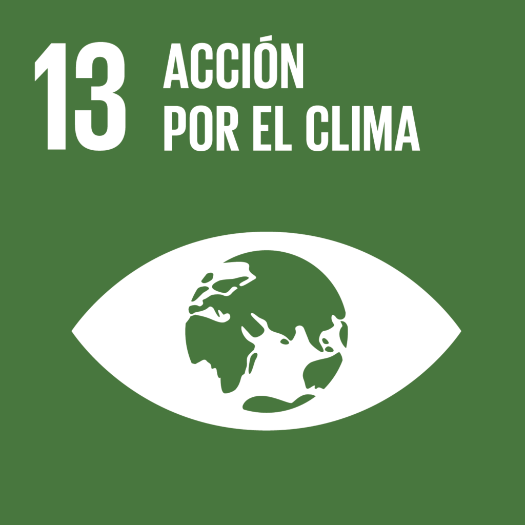 S_SDG-goals_icons-individual-rgb-13