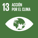 S_SDG-goals_icons-individual-rgb-13 S_SDG-goals_icons-individual-rgb-13