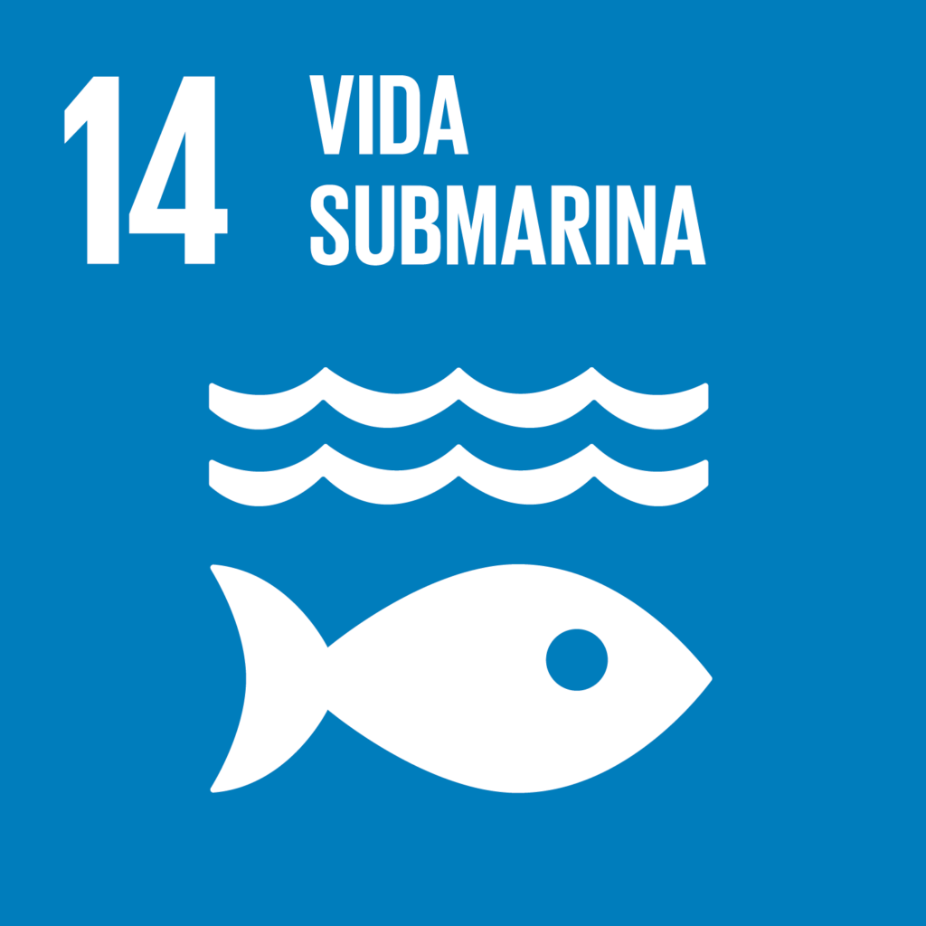 S_SDG-goals_icons-individual-rgb-14