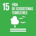 S_SDG-goals_icons-individual-rgb-15 S_SDG-goals_icons-individual-rgb-15