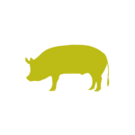 cerdo_2_500 cerdo