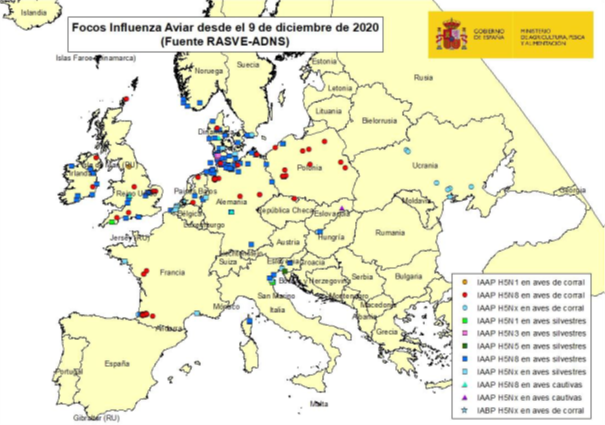 IAAP 08012021_