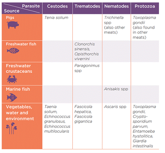 parasitos-3