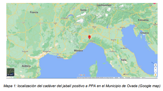 Imagenppa