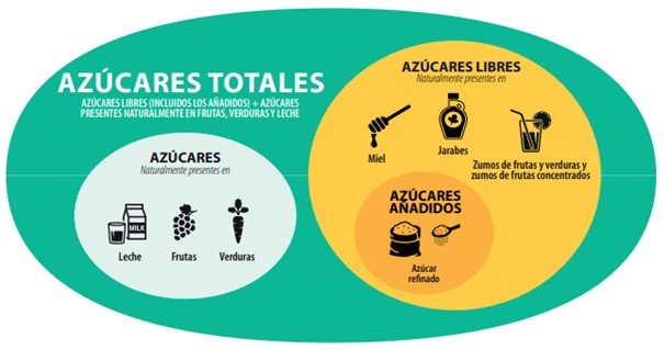 tipos-de-azucar_efsa