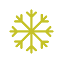 noun-snowflake-271145-C5C227 (1)
