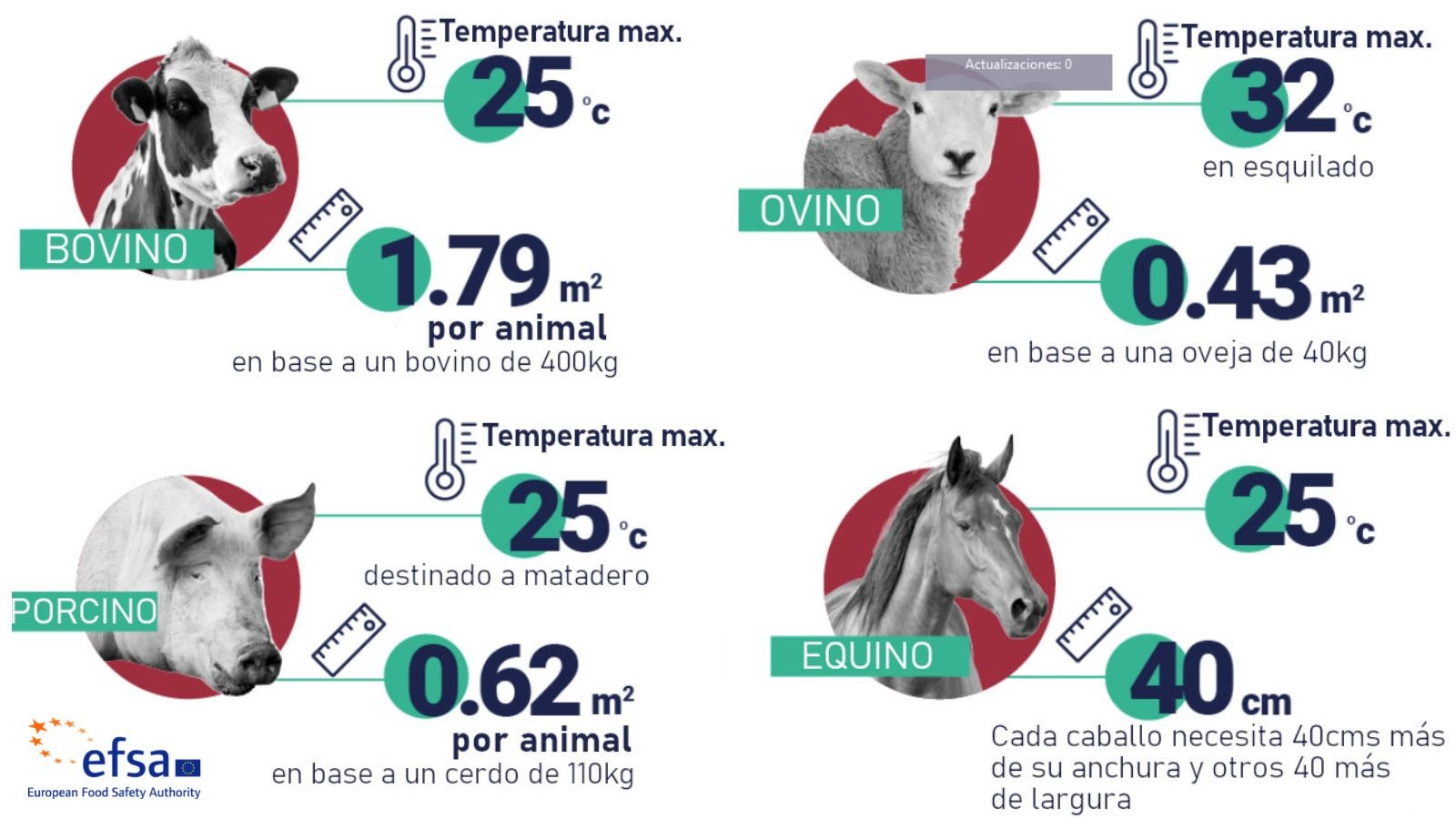 Copia de BA_noticias_cas Bienestar Animal Ellika
