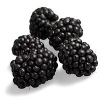 Moras
