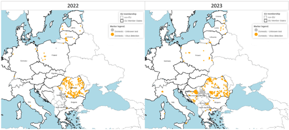 Imagen1